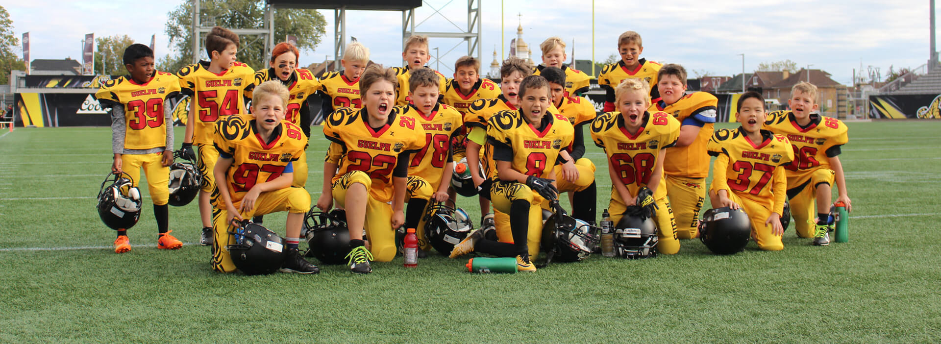 Guelph Gryphons - Banner image 11