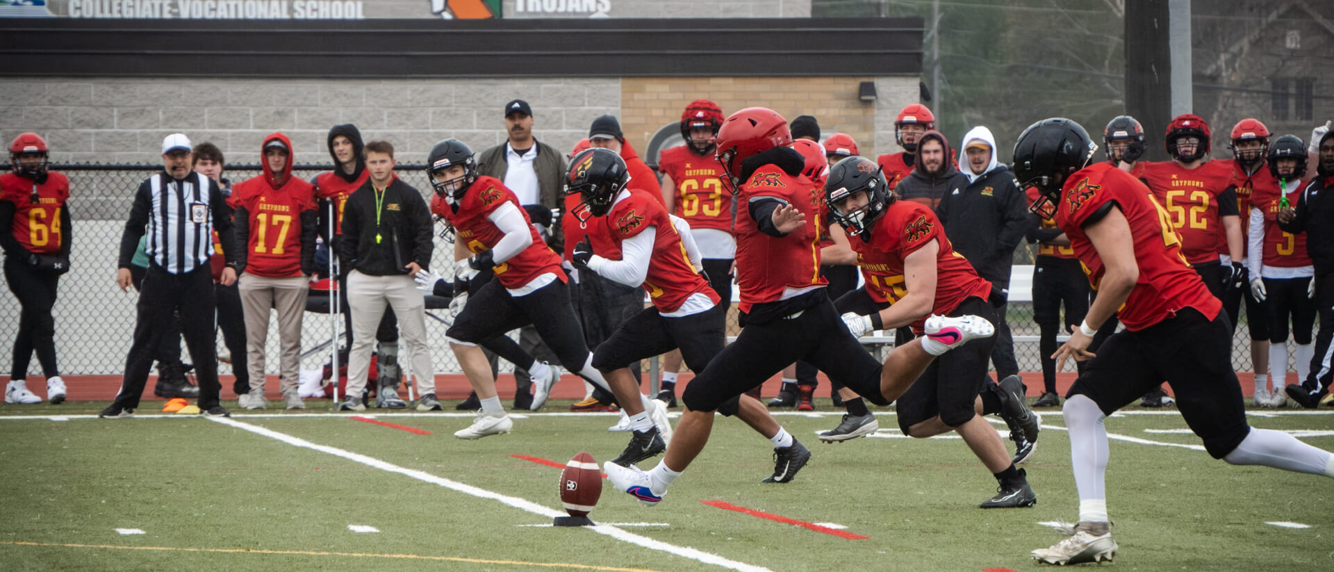 Guelph Gryphons - Banner image 7